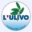 Visita il sito ufficiale dell'ulivo